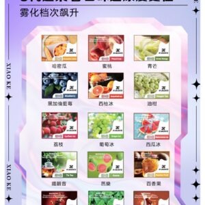 XIAOKE 可替換式電子煙 (通用 RELX6代) (精選款)