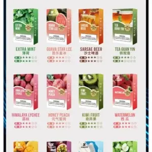XIAOKE 梟客一代霧化煙彈 替換式霧化電子菸
